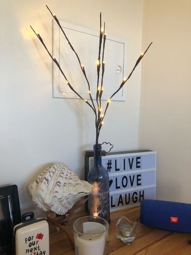 20LED Twigs Light String Decoration Living - Image 8