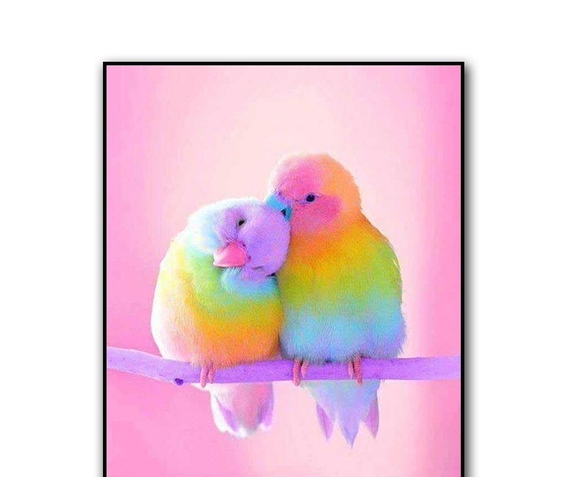 Rubik's Cube Round Diamond Parrot Diamond Painting Living Room Bedroom Brick Hot Decorative Painting - Image 3