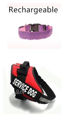 LED Dog Collar Safety Adjustable Nylon Leopard Pet Collar - Image 3